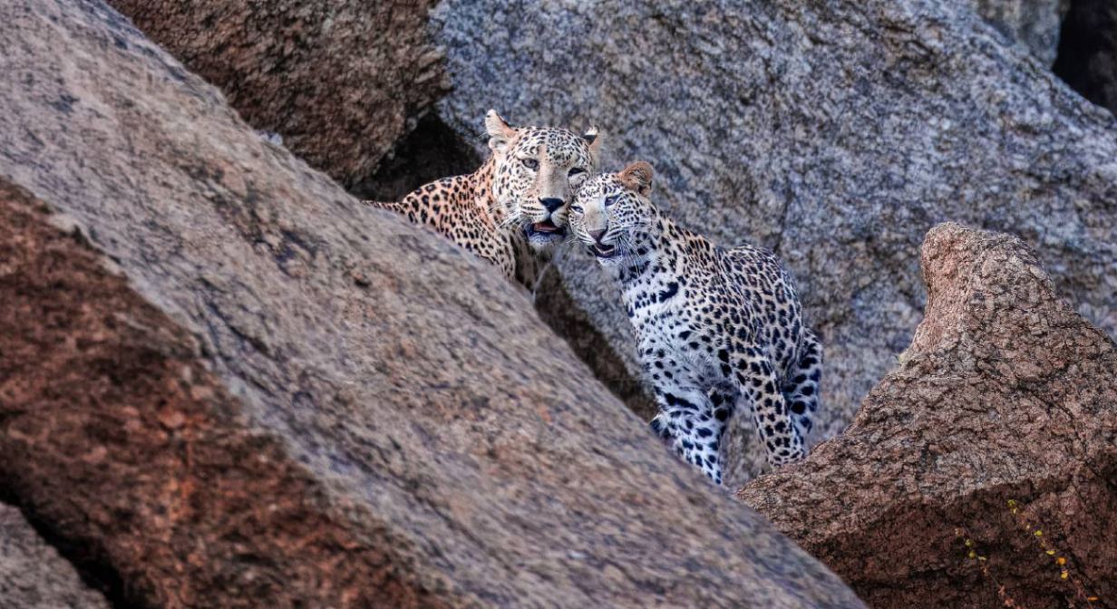 Section 3_Fresh of the Lenses_Desktop_1366 X 746px_Dotty Cub Landscape copy 19_compressed