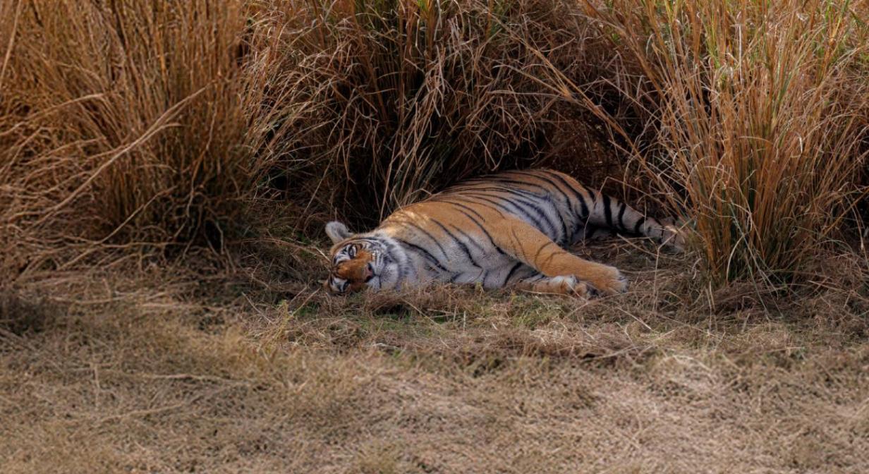 Section 3_Fresh of the Lenses_Desktop_1366 X 746px_Dotty Cub Landscape copy 21_compressed